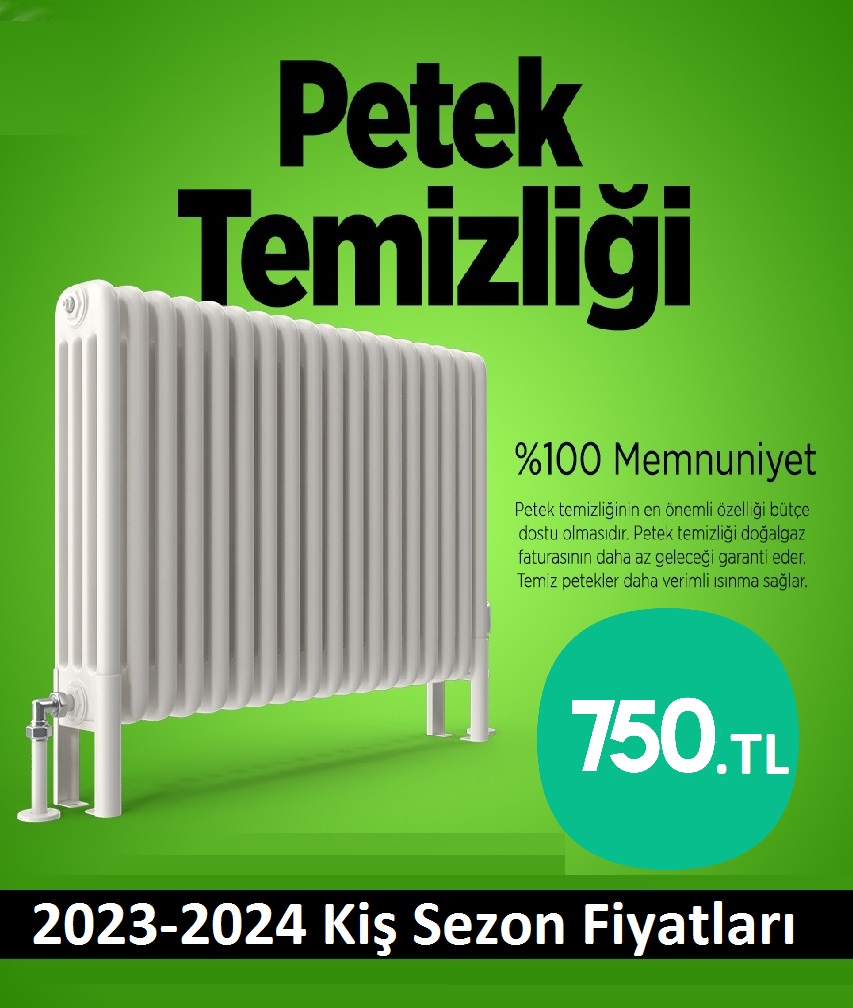 Sapanca Petek Temizliği Tek Fiyat Teklifi Al